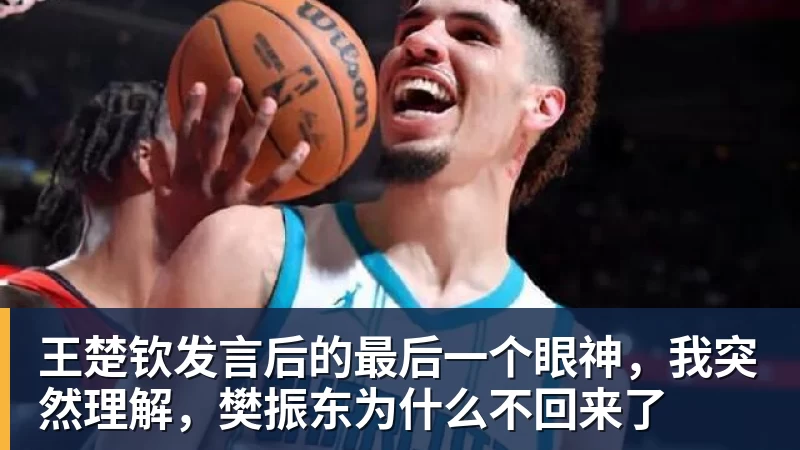 王楚钦发言后的最后一个眼神，我突然理解，樊振东为什么不回来了